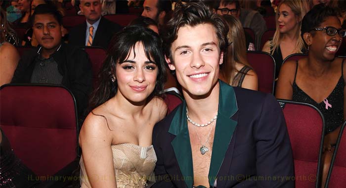 Shawn Mendes dating Camila Cabello